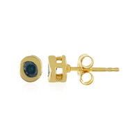 Orecchini in argento con Diamante Blu I4
