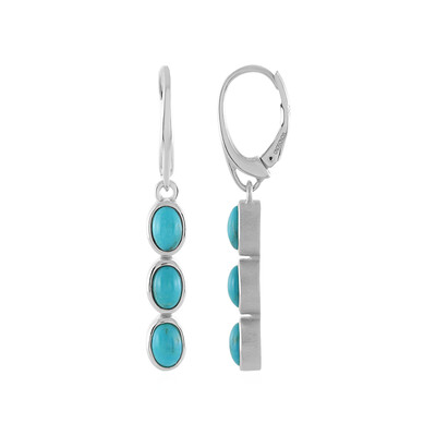 Orecchini in argento con Turchese (MONOSONO COLLECTION)