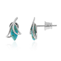 Orecchini in argento con Turchese