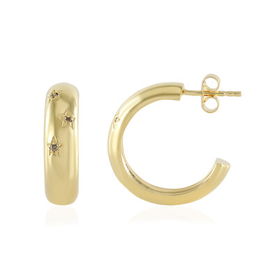 Orecchini in argento con Diamante Cioccolato I2