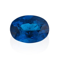 Gemma con Apatite Blu Royal