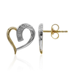 Orecchini in argento con Diamante PK (I)
