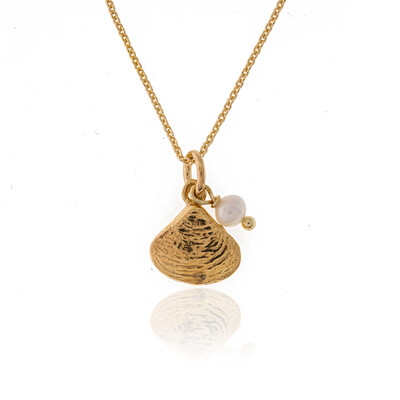 Collana in argento con Perla di Acqua Dolce (Joias do Paraíso)