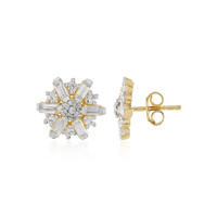 Orecchini in argento con Zircone