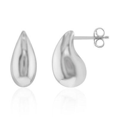 Orecchini in argento