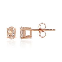 Orecchini in argento con Morganite