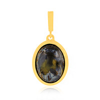 Ciondolo in argento con Pietersite