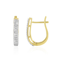 Orecchini in argento con Zircone