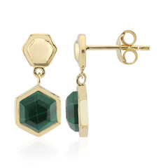 Orecchini in argento con Malachite