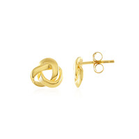Orecchini in argento