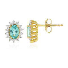 Orecchini in argento con Apatite Blu Caraibico
