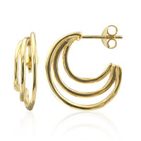 Orecchini in argento