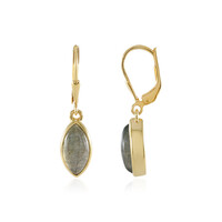 Orecchini in argento con Labradorite