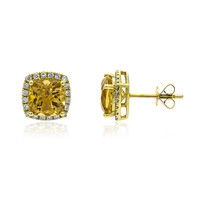 Orecchini in oro con Berillo Imperiale (AMAYANI)