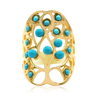 Anello in argento con Turchese Sleeping Beauty (Anne Bever)