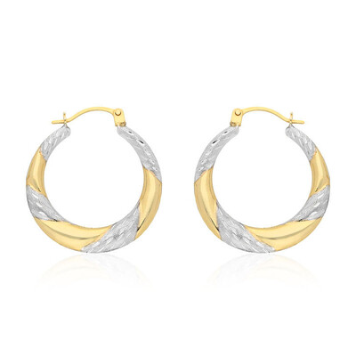 Orecchini in oro
