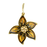Ciondolo in argento con Ambra Baltica