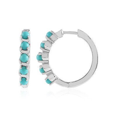 Orecchini in argento con Turchese