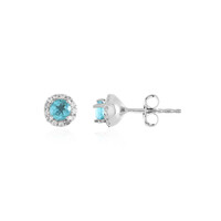 Orecchini in argento con Apatite Blu