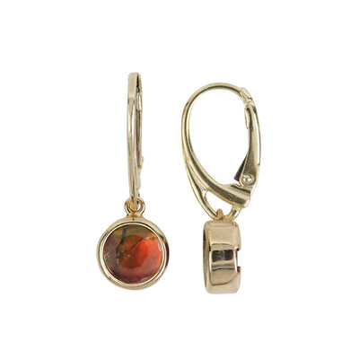Orecchini in argento con Ammolite
