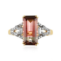 Anello in oro con Tormalina Bicolore (D'vyere)
