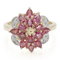 Anello in oro con Zaffiro Padparadscha (non riscaldato)
