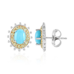 Orecchini in argento con Turchese Sleeping Beauty (Dallas Prince Designs)
