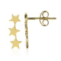 Orecchini in argento
