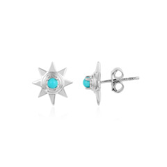 Orecchini in argento con Turchese