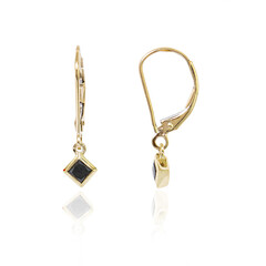Orecchini in oro con Diamante Nero