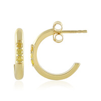 Orecchini in argento con Diamante Giallo I3
