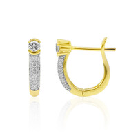 Orecchini in oro con Diamante IF (D)