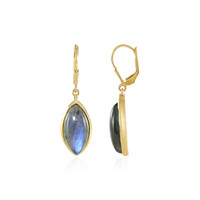 Orecchini in argento con Labradorite