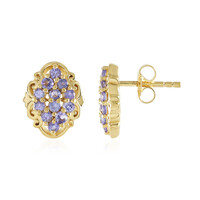 Orecchini in argento con Tanzanite