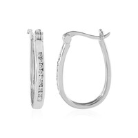 Orecchini in argento con Zircone