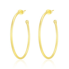 Orecchini in argento (Maigold Kreativ)
