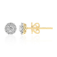 Orecchini in oro con Diamante VVS1 (G)