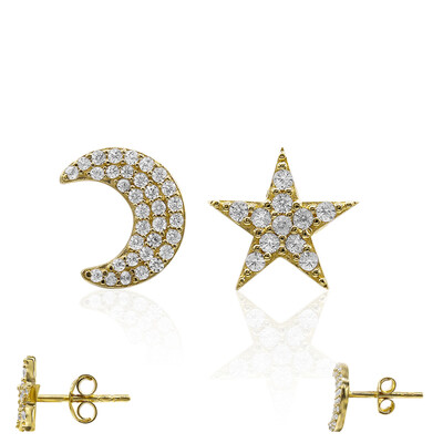 Orecchini in argento con Zircone