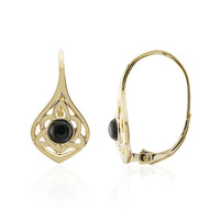 Orecchini in argento con Onice Nero