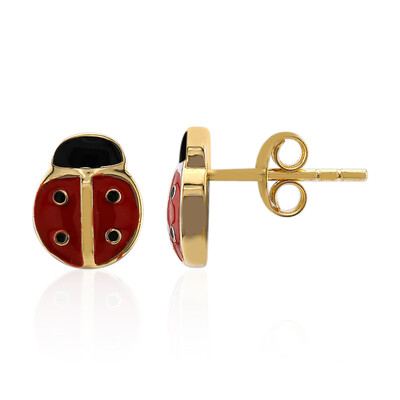Orecchini in argento