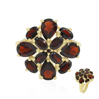 Anello in argento con Granato