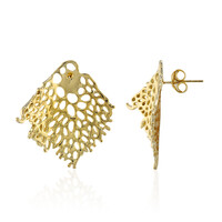 Orecchini in argento (TPC)