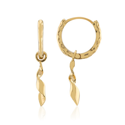 Orecchini in argento