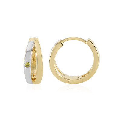Orecchini in argento con Diamante Giallo I2