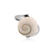 Anello in argento con Occhio di Shiva (Bali Barong)