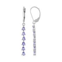 Orecchini in argento con Tanzanite