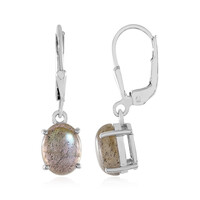 Orecchini in argento con Labradorite