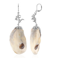 Orecchini in argento con Conchiglia (TPC)