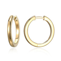 Orecchini in argento