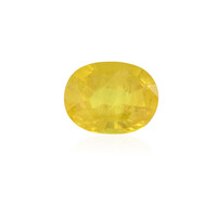 Gemma con Zaffiro Giallo 1,749 ct